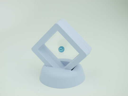 Island Pearl Oyster (Blue Pearl Mixed In)