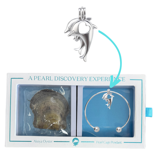 DIY Dolphins Heart Charm Bracelet