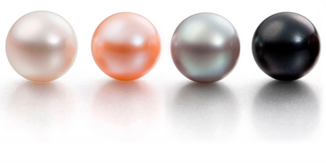 Island Pearl Oyster Natural Assortment (Best Seller!)