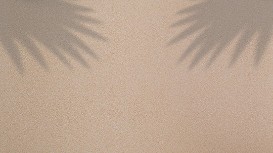 Island Pearl Oyster Natural Assortment (Best Seller!)