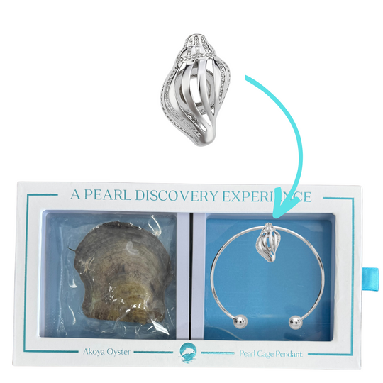 DIY Conch Shell Charm Bracelet