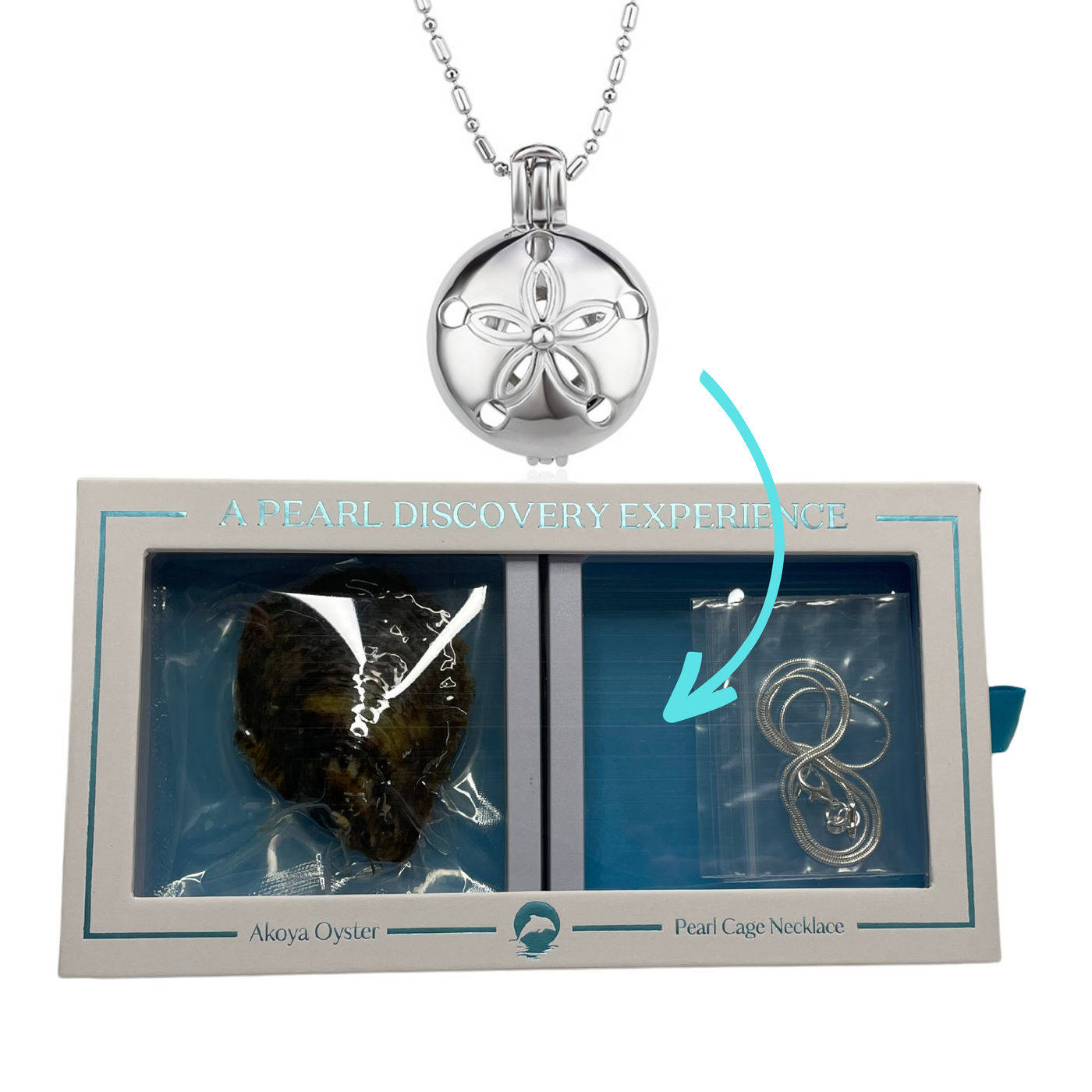 DIY Sand Dollar Pearl Discover Necklace