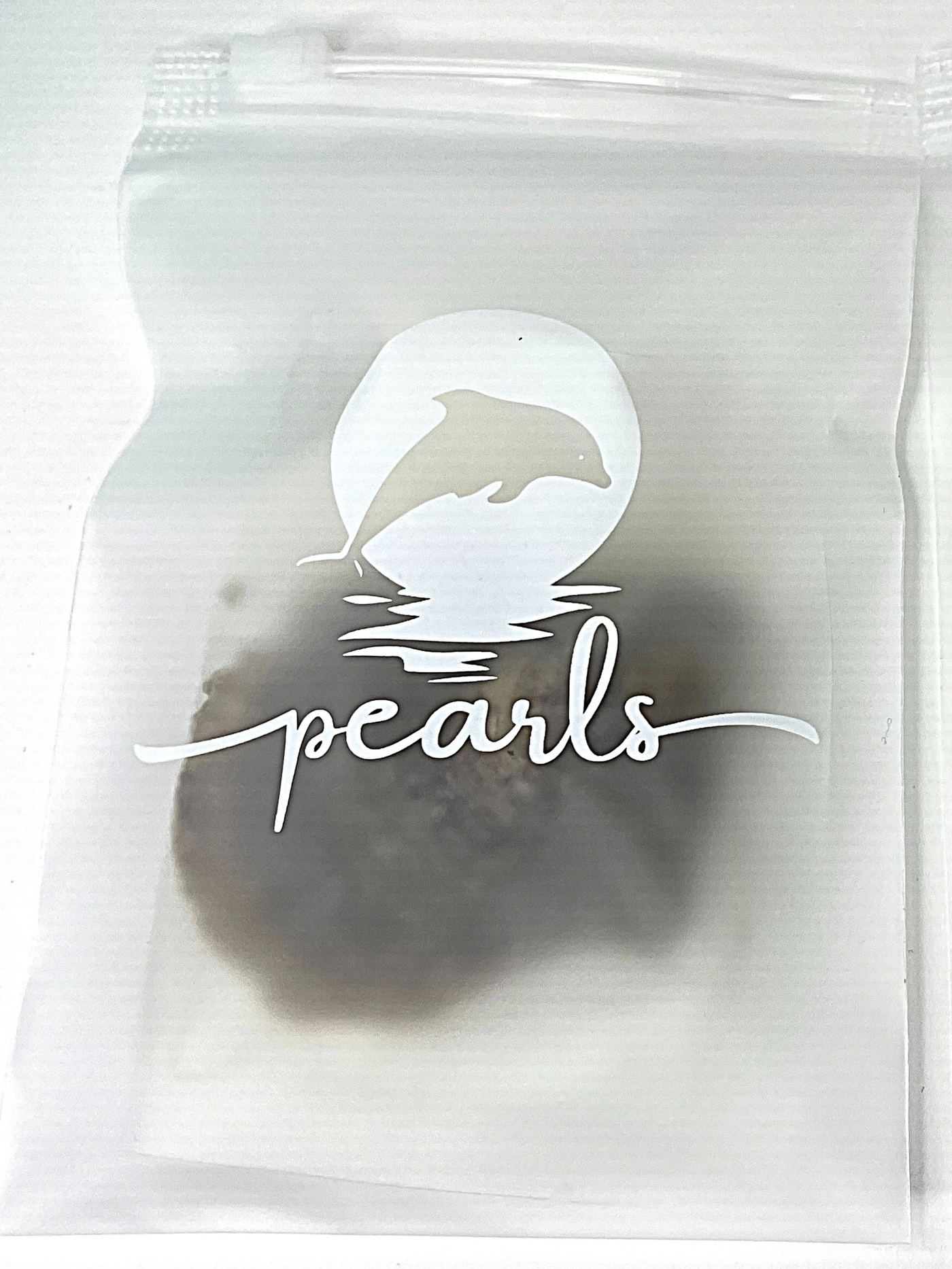 PREMIUM Pearl Oyster