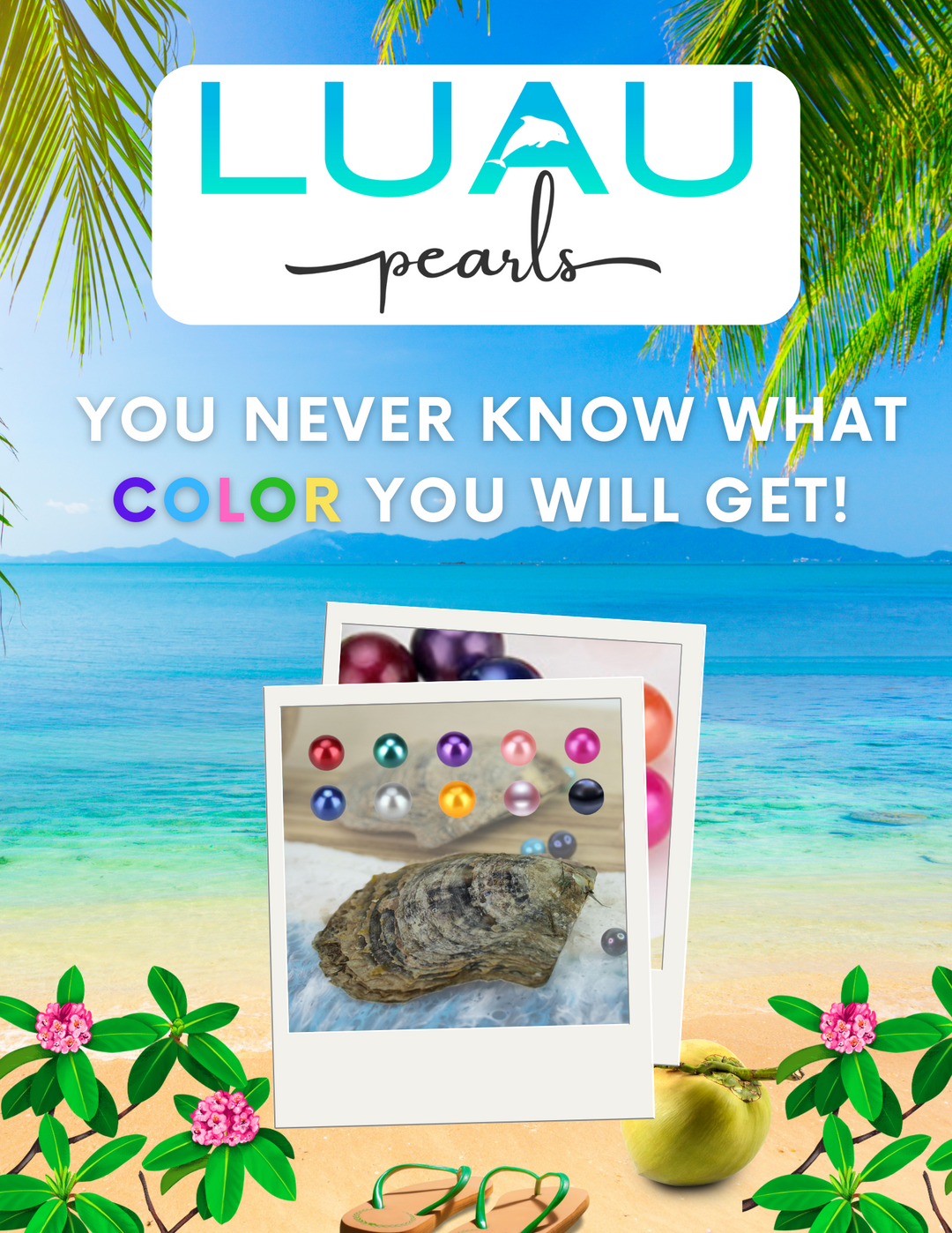 LUAU Pearl Oyster - Oysters with Colored Pearls
