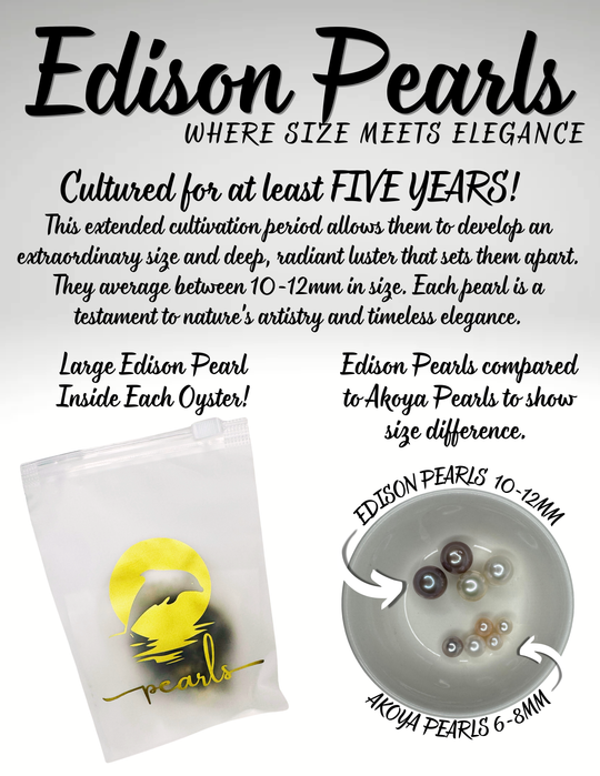 EDISON Pearl Oyster (Edison Pearls range from 10-12mm in size!)