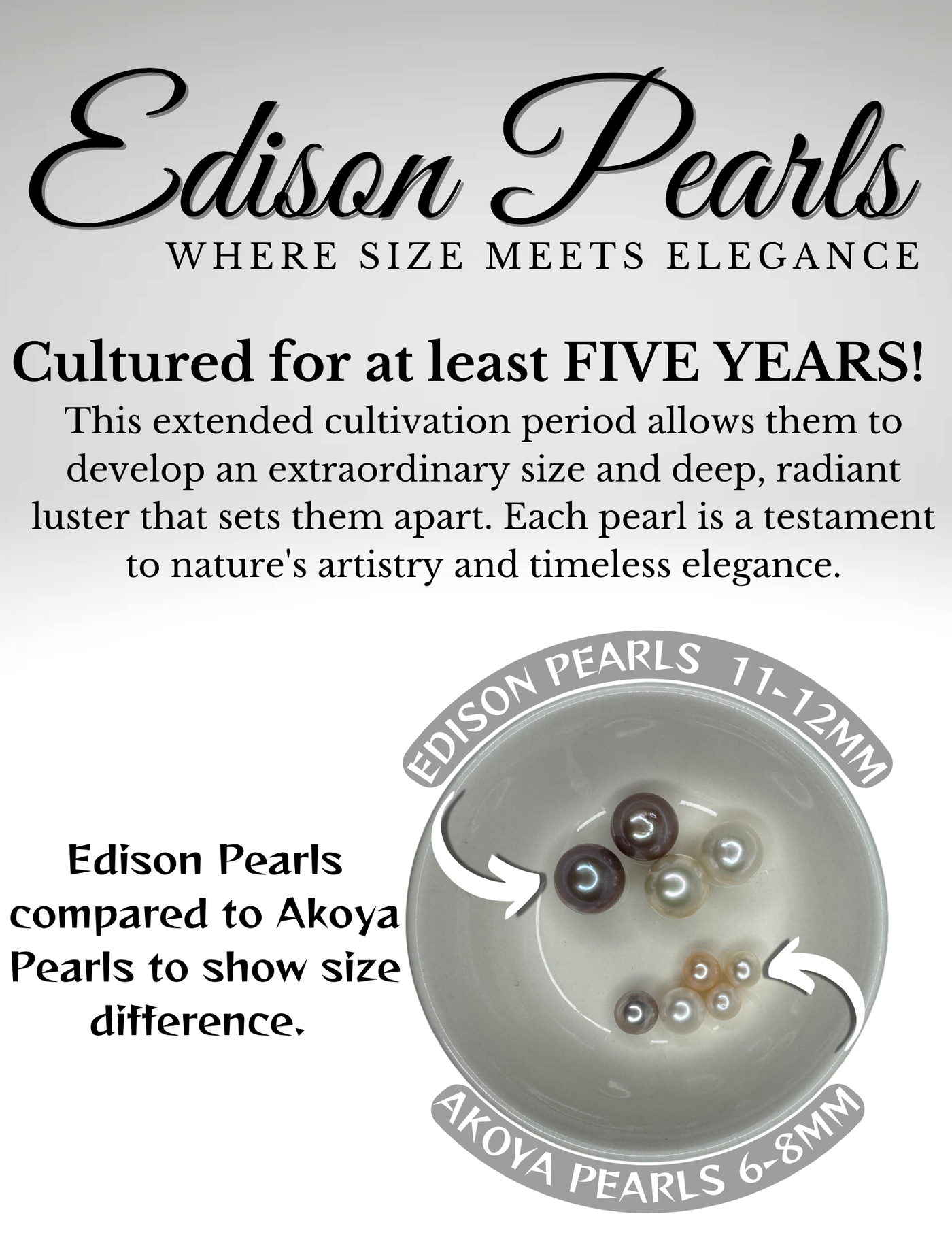 EDISON Pearl Oyster