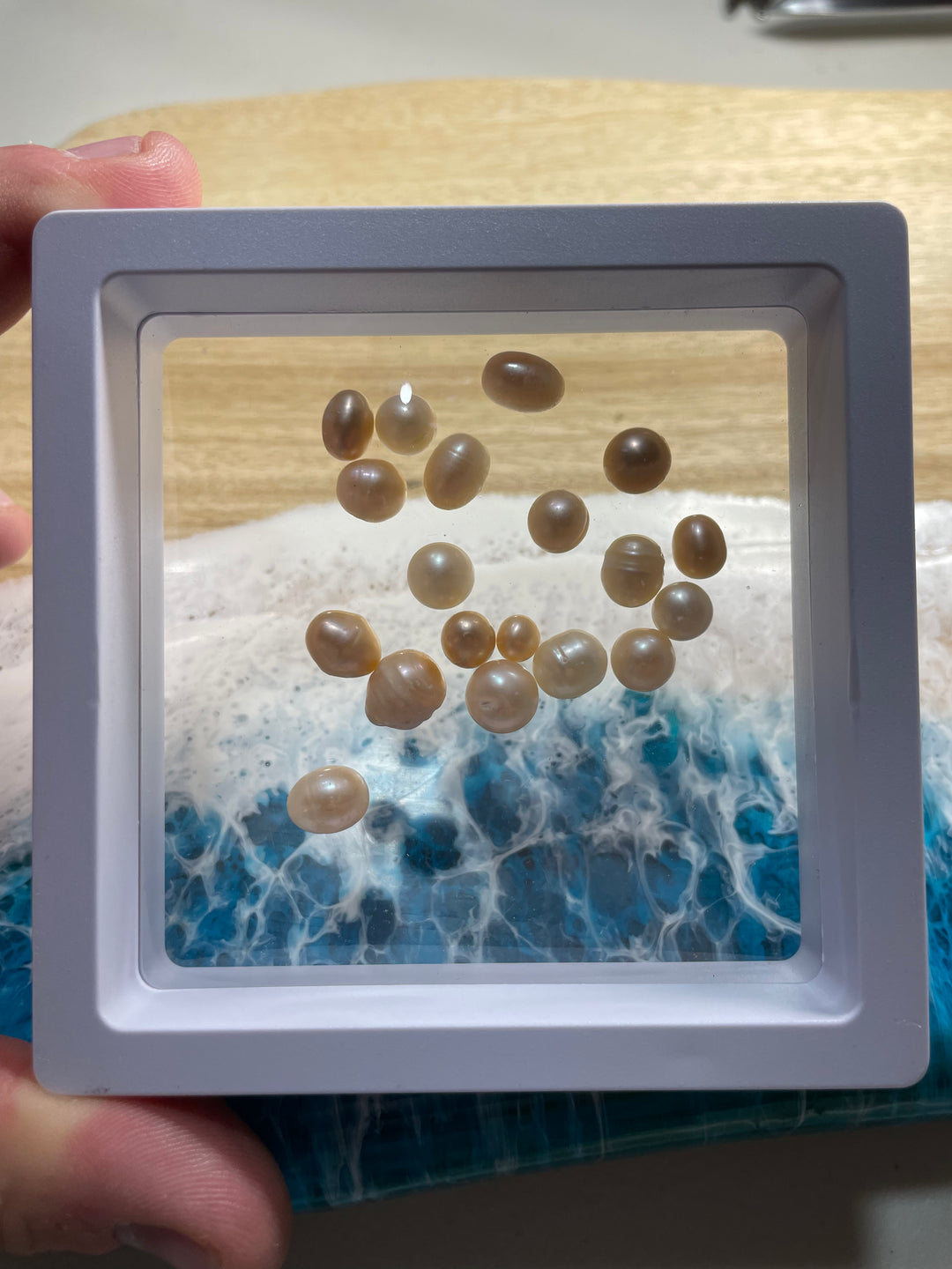 Jumbo Pearl Oyster